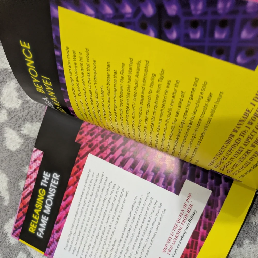 Lady Gaga Book Duo - Picture 4 of 10